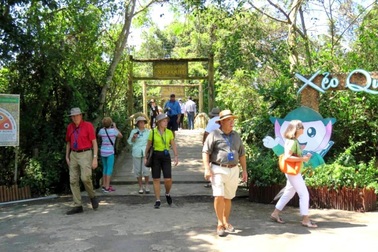 Đồng Tháp tạm dừng tiếp nhận khách du lịch là người nước ngoài