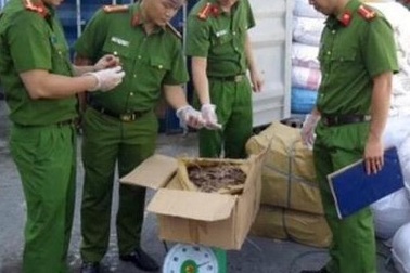 Phát hiện container có hàng trăm kg vẩy tê tê khô cất giấu lẫn với hoa hồng khô