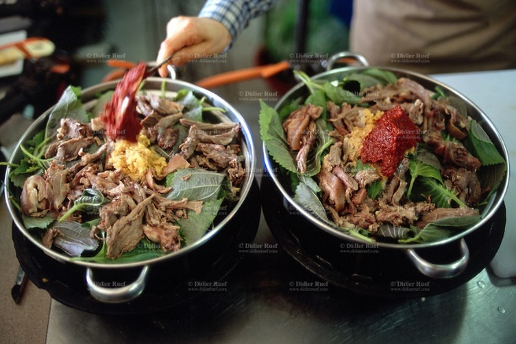 Trước lệnh cấm ăn thịt chó, người Hàn Quốc phản ứng dữ dội - 2 Trước lệnh cấm ăn thịt chó, người Hàn Quốc phản ứng dữ dội - 2