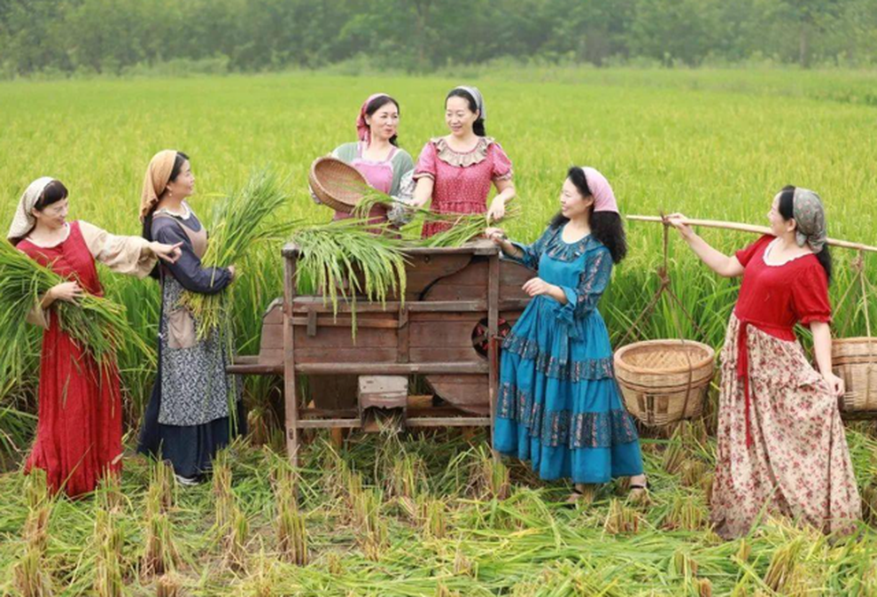 Lão nông làm trang trại, khách đổ về trải nghiệm trồng rau, gặt lúa - 5 Lão nông làm trang trại, khách đổ về trải nghiệm trồng rau, gặt lúa - 5