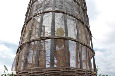 Cách thu hoạch lúa "độc nhất vô nhị" ở miền Tây