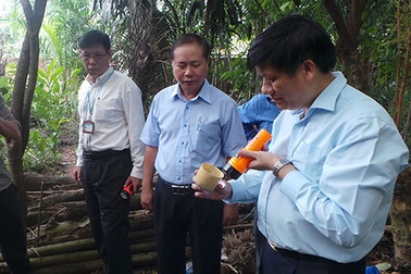 Mở rộng cảnh báo lây truyền Zika