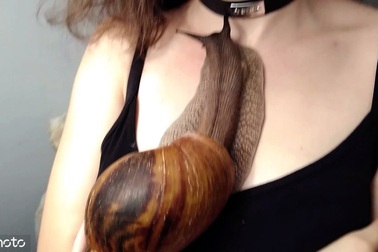 Cô gái cho ốc sên khổng lồ bò lên ngực gây sốt cộng đồng mạng