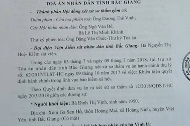 Xử phúc thẩm vụ người dân kiện Giám đốc Bảo hiểm xã hội Bắc Giang ra toà