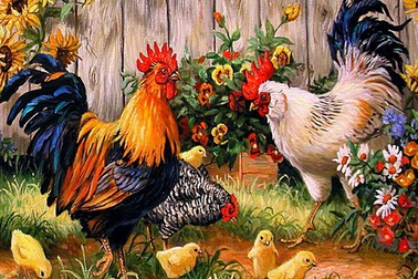 Đầu xuân Đinh Dậu, tìm nghe tiếng gà trong thơ