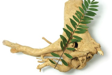 Thảo dược giúp tăng sức mạnh quý ông