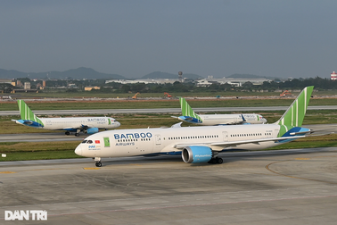 NCB muốn chuyển nhượng 203 triệu cổ phiếu Bamboo Airways