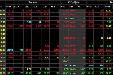 Mỹ áp thuế kỷ lục lên cá Việt, hàng trăm tỷ đồng của ông lớn thủy sản bị “thổi bay“