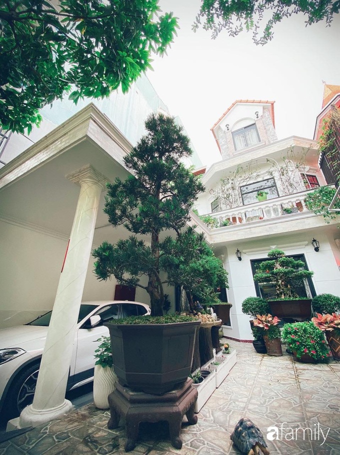 Biệt thự xanh mát bóng cây và hoa hồng rực rỡ của người phụ nữ yêu thiên nhiên ở TP. HCM - Ảnh 3. Biệt thự xanh mát bóng cây và hoa hồng rực rỡ của người phụ nữ yêu thiên nhiên ở TP. HCM - Ảnh 3.
