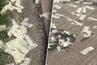 Mỹ: Xe chở 600.000 USD bung cửa, tiền mặt bay tứ tung