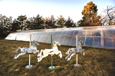 Cách trồng cây ăn trái lạ đời của cụ ông nhờ điều bí mật dưới lòng đất