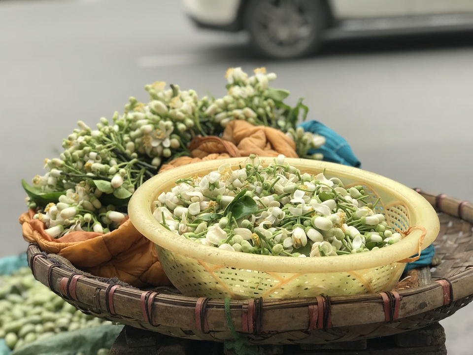 Hoa bưởi xuống phố, khách giành nhau từng chùm - 4 Hoa bưởi xuống phố, khách giành nhau từng chùm - 4