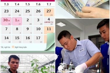 Nghỉ dịp 30/4, khảo sát lương tối thiểu, kiếm trăm triệu từ cà chua, hoa hồng