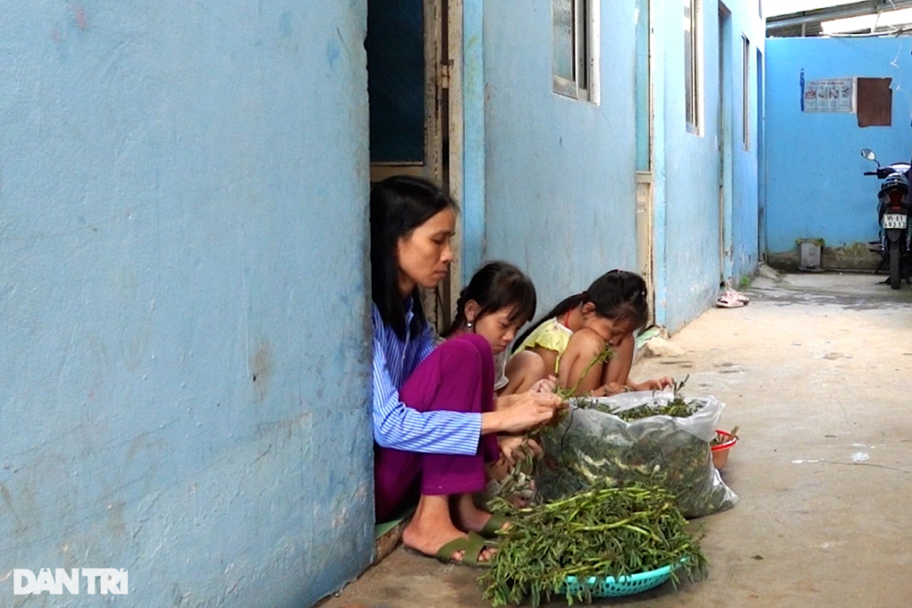 Đôi vợ chồng lao phổi, chạy xe ôm, nhặt rau kiếm từng đồng nuôi con ăn học - 1 Đôi vợ chồng lao phổi, chạy xe ôm, nhặt rau kiếm từng đồng nuôi con ăn học - 1