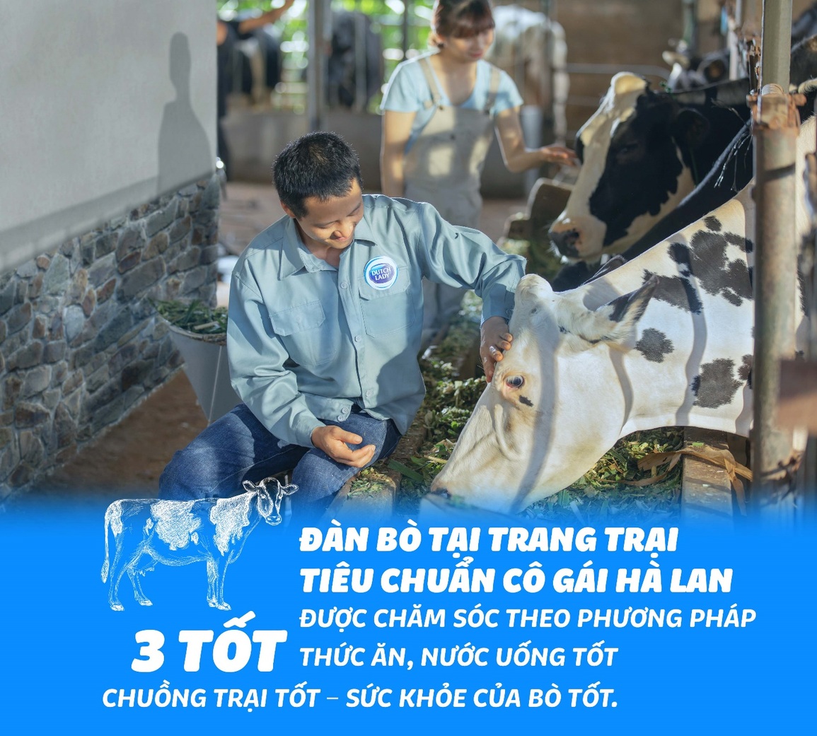 Bí quyết thành công của Cô Gái Hà Lan tại Việt Nam - 1 Bí quyết thành công của Cô Gái Hà Lan tại Việt Nam - 1