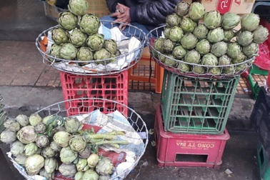 Khan hiếm hàng, bông Atiso tăng giá kỷ lục