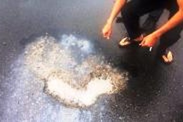 Vụ rải hóa chất ra QL1A: Xử nghiêm hành vi phá hoại tài sản quốc gia