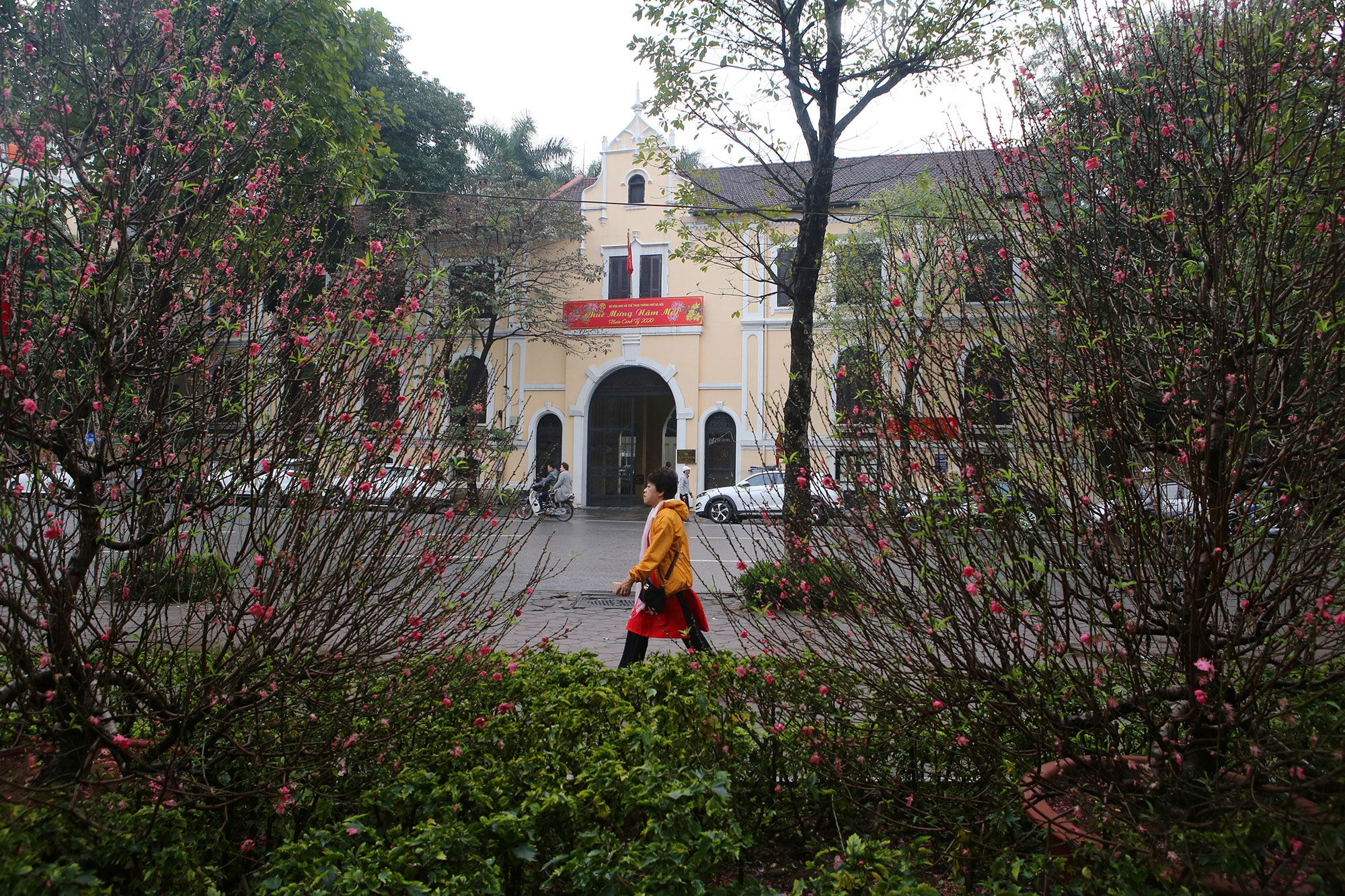 Buổi sáng mùng 1 năm Canh Tý trong lành sau cơn mưa - 7 Buổi sáng mùng 1 năm Canh Tý trong lành sau cơn mưa - 7