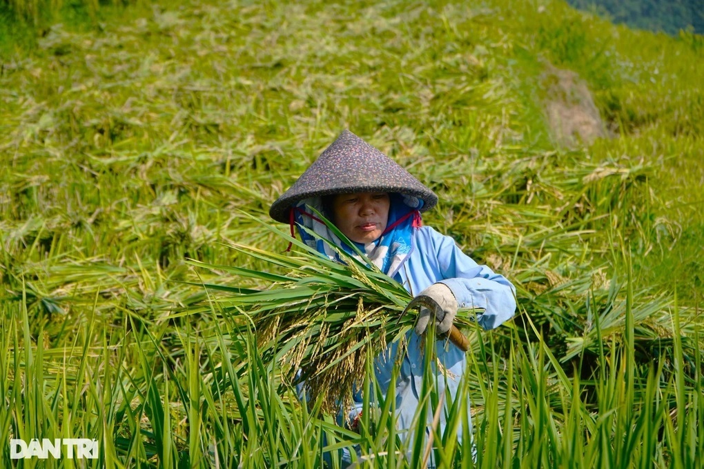 Gần 87.000 USD phát triển năng lực hành động với phụ nữ dân tộc thiểu số - 1 Gần 87.000 USD phát triển năng lực hành động với phụ nữ dân tộc thiểu số - 1
