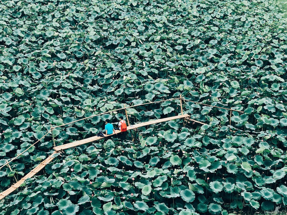 Cảnh sắc bình yên trong khu cách ly lãng mạn tại HN - 6