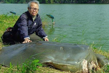 Sẽ làm tiêu bản xác cụ rùa