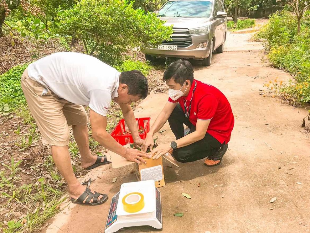JT Express nối dài hành trình hỗ trợ tiêu thụ nông sản Việt - 3 JT Express nối dài hành trình hỗ trợ tiêu thụ nông sản Việt - 3