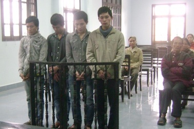 4 kẻ trộm gà chuyên nghiệp hầu tòa