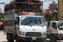 Hà Nội xử lý hàng loạt thực phẩm “bẩn”