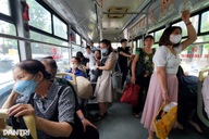 Đề nghị mở rộng hệ thống xe buýt điện toàn thành phố để giảm xe máy xăng