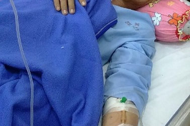 Cần Thơ: Hai ngày cấp cứu 6 ca bị rắn cắn