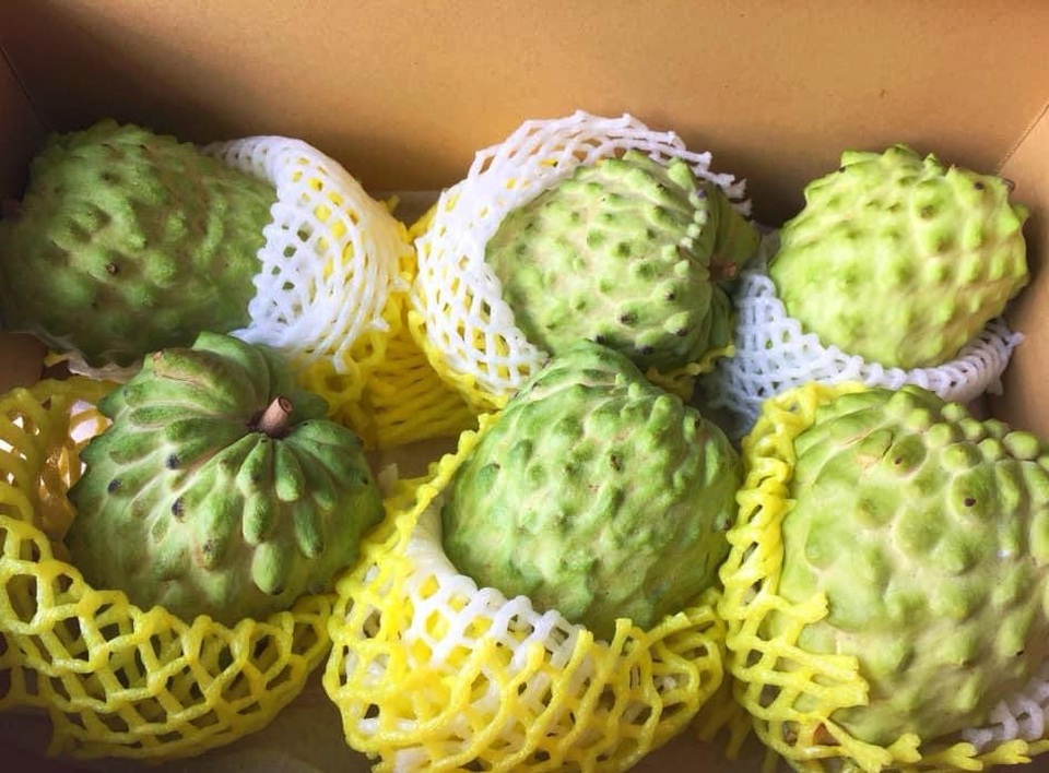 Na nhà giàu đi máy bay về Việt Nam, nửa triệu đồng/kg vẫn cháy hàng - 1 Na nhà giàu đi máy bay về Việt Nam, nửa triệu đồng/kg vẫn cháy hàng - 1