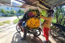 Nông dân làng hoa Mỹ Bình phấn khởi vì hoa Tết "được giá"