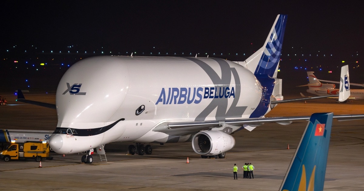 Siêu máy bay vận tải Airbus Beluga XL cá voi trắng lần đầu đến Việt Nam - 10