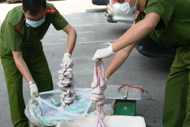 Suýt tuồn trót lọt 500kg nội tạng “bẩn” về Hà Nội
