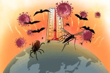 Biến đổi khí hậu có thể là khởi nguồn cho đại dịch toàn cầu tiếp theo?