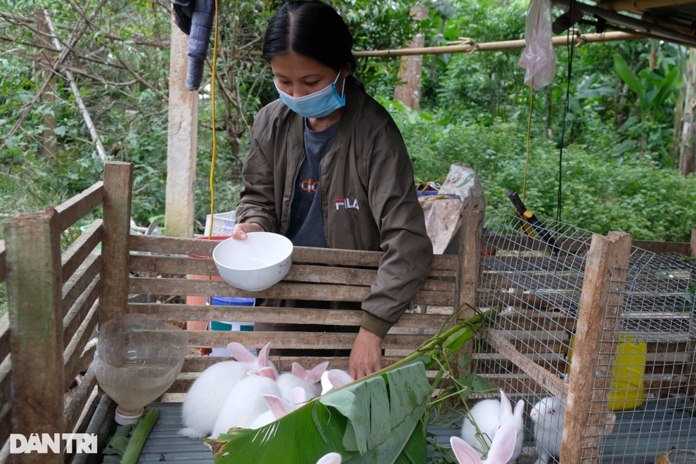 Chuyện thoát nghèo ở huyện miền núi Thanh Hóa - 4 Chuyện thoát nghèo ở huyện miền núi Thanh Hóa - 4