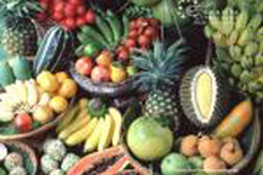 Chăm sóc người bệnh sau tai biến mạch máu não