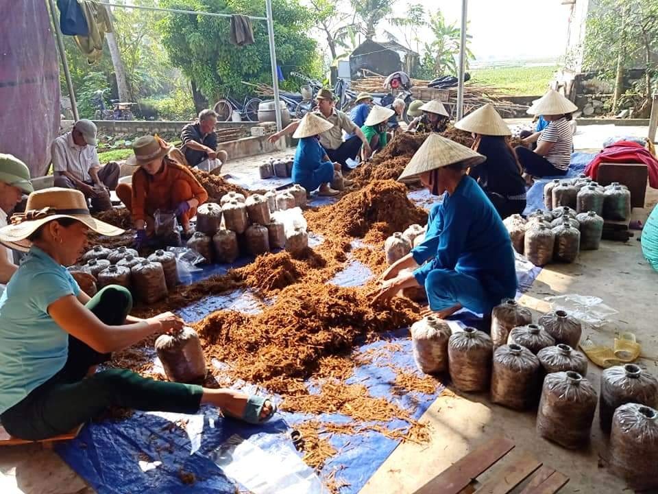 Chàng kỹ sư nông nghiệp làm giàu với mô hình trồng nấm gia trang - 6 Chàng kỹ sư nông nghiệp làm giàu với mô hình trồng nấm gia trang - 6