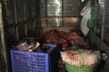 Bắt gần gần 4 tạ thịt lợn không có giấy chứng nhận kiểm dịch