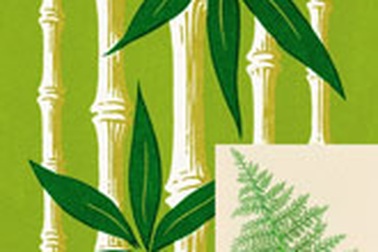 Tre và dương xỉ 