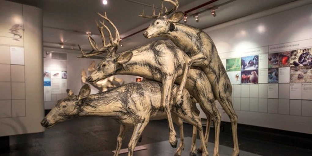 Khách tham quan đỏ mặt khi vào những bảo tàng chủ đề tình dục - 6