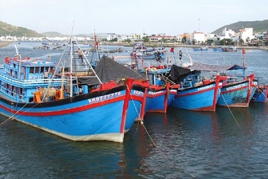 99% tàu cá Việt Nam là vỏ gỗ 