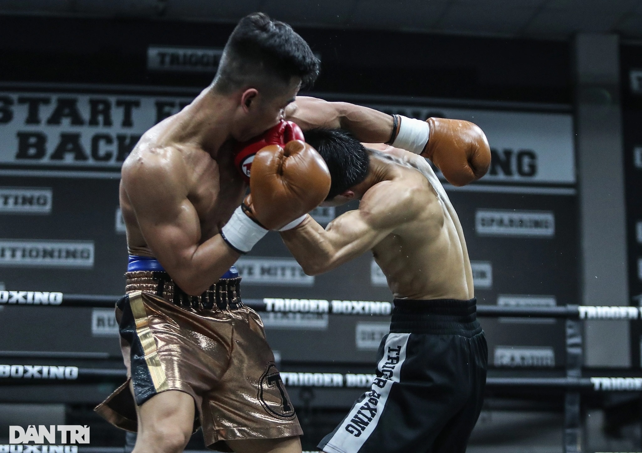 Nhà vô địch WBC châu Á Trần Văn Thảo hạ knock-out tay đấm Thái Lan - 8 Nhà vô địch WBC châu Á Trần Văn Thảo hạ knock-out tay đấm Thái Lan - 8