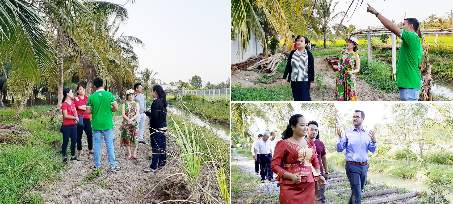 Bỏ lương nghìn đô, về quê mát xa hoa dừa, người phụ nữ thu tiền tỷ - 11 Bỏ lương nghìn đô, về quê mát xa hoa dừa, người phụ nữ thu tiền tỷ - 11