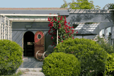 Chiêm ngưỡng nhà vườn đẹp như mơ của cặp vợ chồng bỏ phố, về quê