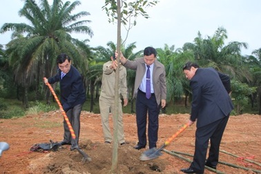 Quảng Trị: Trồng cây xanh trên các tuyến phố, công viên dịp đầu Xuân