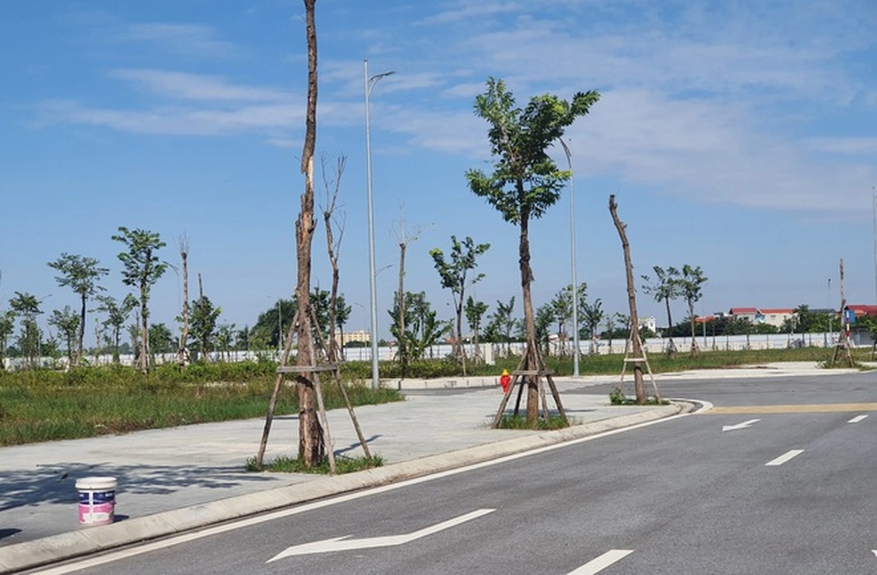 Vụ Vimedimex: Hủy kết quả trúng đấu giá, người mua có được hoàn tiền? - 3 Vụ Vimedimex: Hủy kết quả trúng đấu giá, người mua có được hoàn tiền? - 3