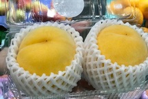 Dân Việt sành ăn: Từ đào Nhật, kem Đài cho đến bào ngư Úc, tiền triệu vẫn cháy hàng