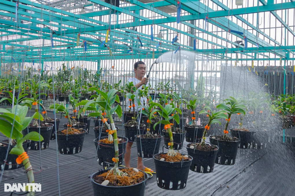 8X Tây Đô kiếm bộn tiền mỗi tháng nhờ cất nhà lầu nuôi hoa - 7 8X Tây Đô kiếm bộn tiền mỗi tháng nhờ cất nhà lầu nuôi hoa - 7