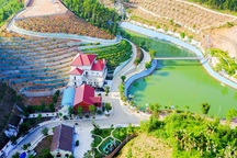 Yêu cầu Giám đốc Sở TN-MT Yên Bái giải trình khoản vay 20 tỷ đồng